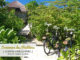 Les vélos de la petite famille au Six Senses Laamu...ils sont immatriculés avec nos initiales !