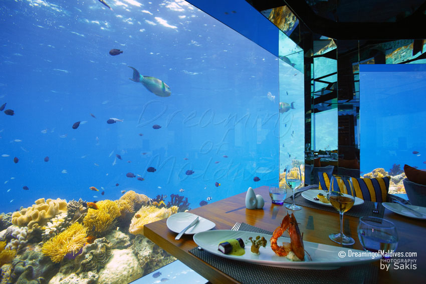 Anantara Kihavah Maldives Menu gastronomique sous le lagon dans le restaurant sous-marin SEA