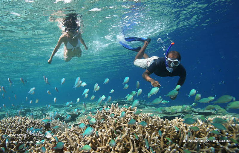 Anantara Kihavah Maldives snorkeling