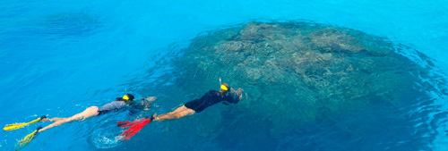 Baros Maldives snorkeling Activités gratuites