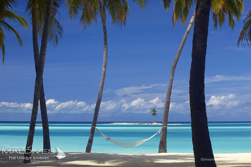 Gili Lankanfushi Maldives L'Ile One Palm Island