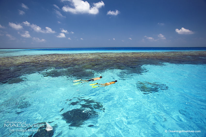 Le snorkeling à Gili Lankanfushi maldives