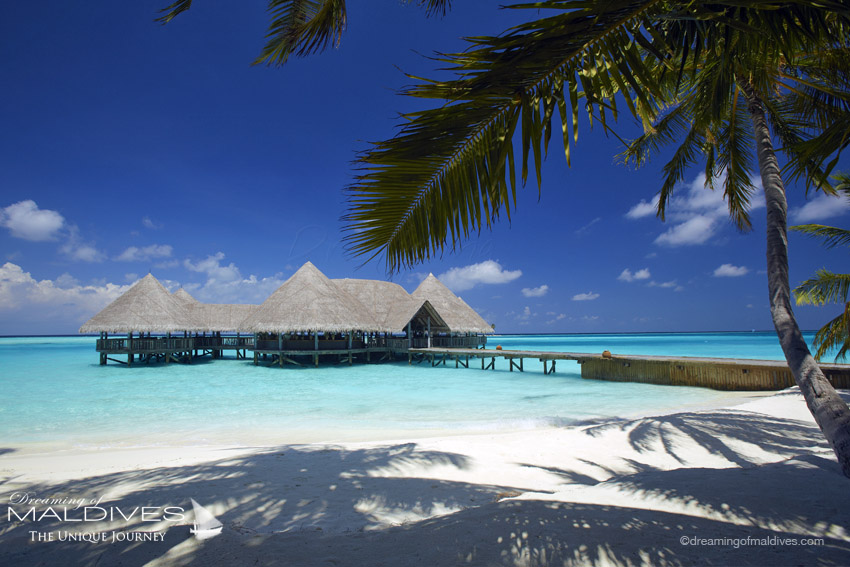 Gili Lankanfushi Maldives - Le Bar sur Pilotis 