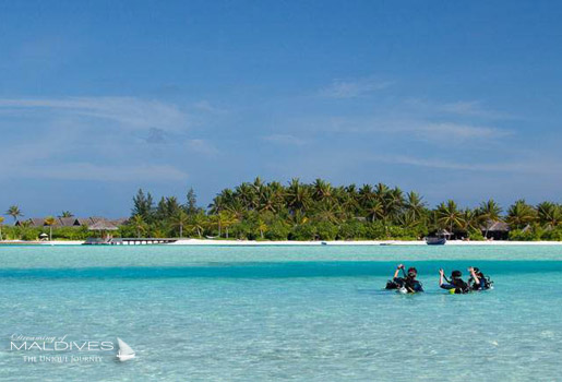 Naladhu Maldives La Plongée