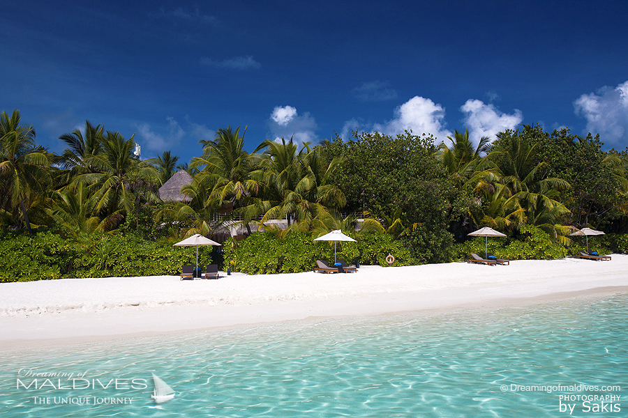 Hôtel W Maldives Villas Plage Wonderful Beach Oasis Plage & lagon