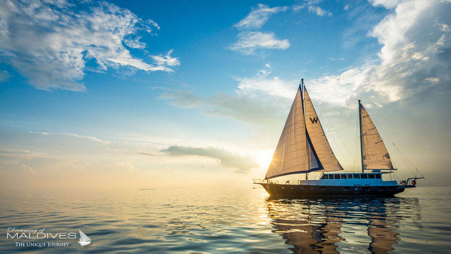 Hôtel W Maldives Yacht de Luxe ESCAPE