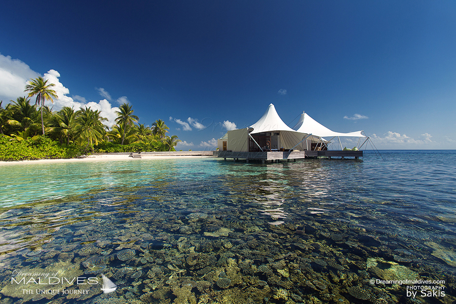 Hôtel W Maldives Les récifs magnifiques autour du Spa