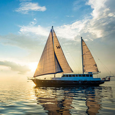Hôtel W Maldives moments favoris Partir en croisière sur un Yacht de Luxe