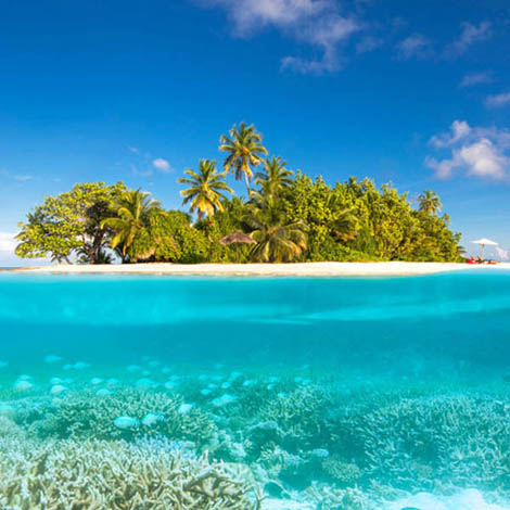Hôtel W Maldives moments favoris Vivre sur une petite île déserte