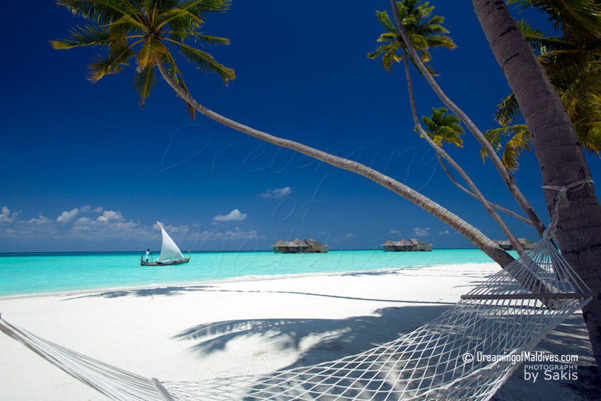 Hôtel Gili Lankanfushi Maldives galerie de photos