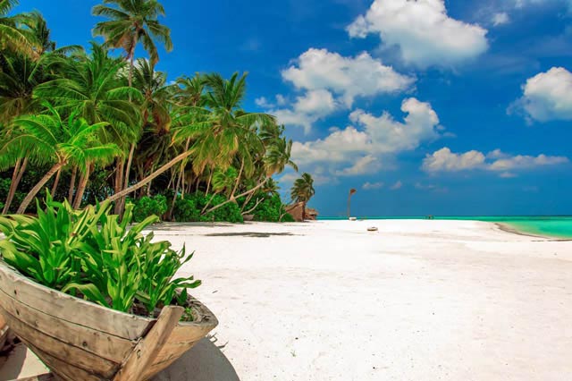 emplacement hôtel AaaVeee Resort Dhaalu Atoll