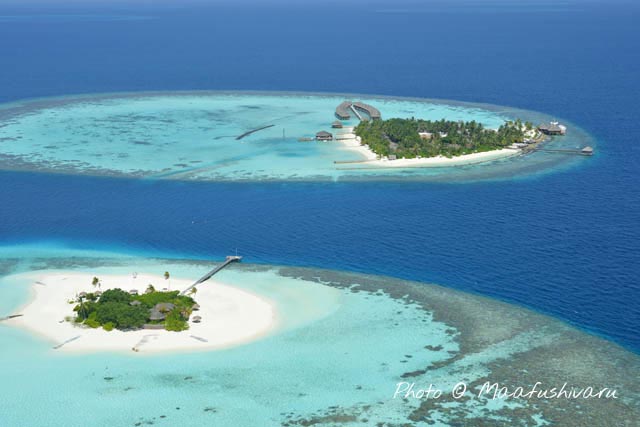 emplacement hôtel Maafushivaru Resort Ari Atoll