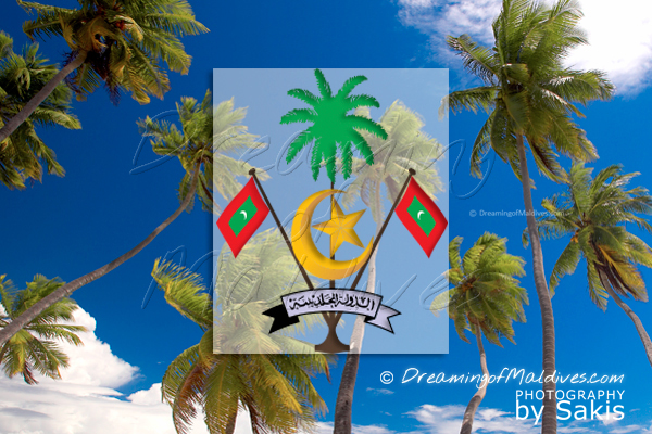Les Maldives en 18 Faits Utiles et Amusants Les Cocotiers