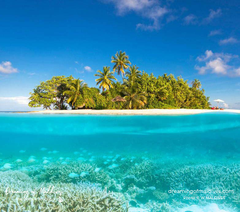 Galerie photos 80 photos des Maldives. p.1