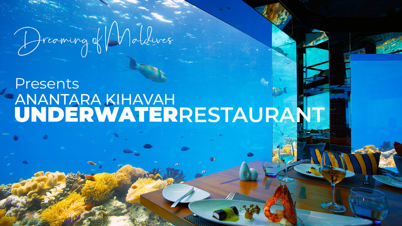Vidéo du restaurant sous-marin Hôtel Anantara Kihavah Villas Maldives