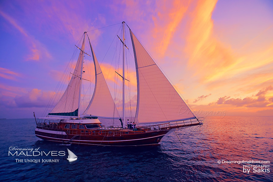 Meilleure Activité aux Maldives Faire une croisière sur bateau à voile