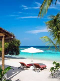 The definition of “do not disturb”.
Captured 📷 @impressionsphotobysakis #indianocean #paradiseisland #maldives #luxurylifestyle #maldivesislands #beautifulmaldives #traveldiary #wanderlust #beachlife #beachvibes #beautifuldestinations #wonderful_places #travel #travelphotography #postcardsfromtheworld #vacation #chillvibes #passionpassport #instatravel #instamood #travelgoals #exploremoreً #hotelphotographer