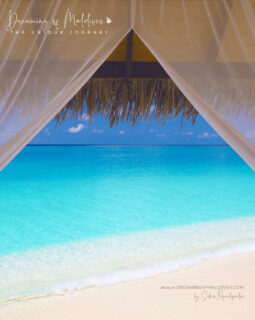 🌴 The Maldives are a dream, but paradise comes with a price. But behind the curtain lies a truth few people know.
👉 Discover the real story behind the bill 💸 Link in the comments.  📷 - @impressionsphotobysakis  #DreamingOfMaldives
#MaldivesTravel
#MaldivesLuxuryResort
#LuxuryTravelMaldives
#MaldivesParadise
#TravelWithMe
#LuxuryLifestyle
#TravelTrends