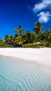 Escape the noise. Embrace slow life …
🎥 @impressionsphotobysakis  #indianocean #paradiseisland #maldives #luxurylifestyle #maldivesislands #beautifulmaldives #traveldiary #wanderlust #beachlife #beachvibes #beautifuldestinations #wonderful_places #travel #travelphotography #postcardsfromtheworld #vacation #chillvibes  #passionpassport #instatravel #instamood