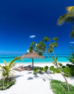 Planning my permanent disappearance here…
📷 @impressionsphotobysakis  #indianocean #paradiseisland #maldives #luxurylifestyle #maldivesislands #beautifulmaldives #traveldiary #wanderlust #beachlife #beachvibes #beautifuldestinations #wonderful_places #travel #travelphotography #postcardsfromtheworld #vacation #chillvibes  #passionpassport #instatravel #instamood #luxuryhotel #luxuryresort