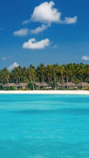 Life is better at the beach!
🎥 @impressionsphotobysakis  #indianocean #paradiseisland #maldives #luxurylifestyle #maldivesislands #beautifulmaldives #traveldiary #wanderlust #beachlife #beachvibes #beautifuldestinations #wonderful_places #travel #travelphotography #postcardsfromtheworld #vacation #chillvibes  #passionpassport #instatravel #instamood #luxuryhotel