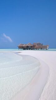 Somewhere between a dream and reality 🏝️
🎥 @impressionsphotobysakis  #indianocean #paradiseisland #maldives #luxurylifestyle #maldivesislands #beautifulmaldives #traveldiary #wanderlust #beachlife #beachvibes #beautifuldestinations #wonderful_places #travel #travelphotography #postcardsfromtheworld #vacation #chillvibes  #passionpassport #instatravel #instamood  #luxuryhotel  #luxuryresort