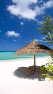 My favorite kind of blue therapy ✈️😎
🎥 @impressionsphotobysakis #indianocean #paradiseisland #maldives #luxurylifestyle #maldivesislands #beautifulmaldives #traveldiary #wanderlust #beachlife #beachvibes #beautifuldestinations #wonderful_places #travel #travelphotography #postcardsfromtheworld #vacation #chillvibes #passionpassport #instatravel #instamood #luxuryhotel