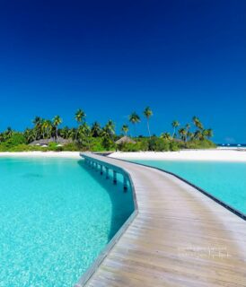Just the perfect place to forget about everything..
📷 @impressionsphotobysakis  #indianocean #paradiseisland #maldives #luxurylifestyle #maldivesislands #beautifulmaldives #traveldiary #wanderlust #beachlife #beachvibes #beautifuldestinations #wonderful_places #travel #travelphotography #postcardsfromtheworld #vacation #chillvibes  #passionpassport #instatravel #instamood #luxuryhotel
