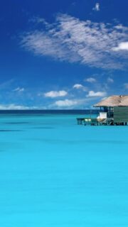 Breakfast in Paradise must look like this ❤️
🎥 @impressionsphotobysakis  #indianocean #paradiseisland #maldives #luxurylifestyle #maldivesislands #beautifulmaldives #traveldiary #wanderlust #beachlife #beachvibes #beautifuldestinations #wonderful_places #travel #travelphotography #postcardsfromtheworld #vacation #chillvibes  #passionpassport #instatravel #instamood #luxuryhotel #luxuryresort #sixsenseslaamu