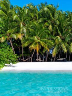 Beach life 🏝️
📷 @impressionsphotobysakis #luxurytravel #luxuryhotel #beachlife #slowlife #bucket