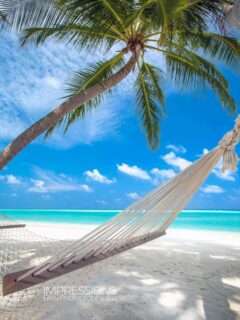Sharing a slice of serenity….
📷 @impressionsphotobysakis  #luxurytravel #luxuryhotel #slowlife #beachlife #maldives