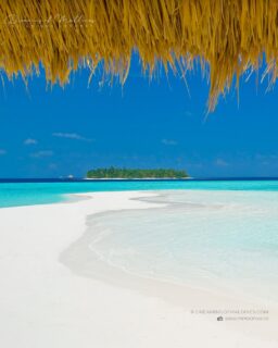 The Maldives Dream is real. What’s yours ? 
No jury. No experts. Just you.
Vote for the resort that made you dream.
Maldives Best Resorts 2026. Your TOP 10. 15th year.
🏆 Link to vote in bio 🌴  #luxurytravel #Maldives #Top10MaldivesDreamyResorts #luxuryhotels #LuxuryLifestyle #DreamingofMaldives #besthotels #Maldives2026