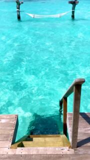 Therapy in the blue. 🧿
🎥 @impressionsphotobysakis  #luxurytravel #luxuryhotel #luxurylifestyle #beachlife #islandlife  i