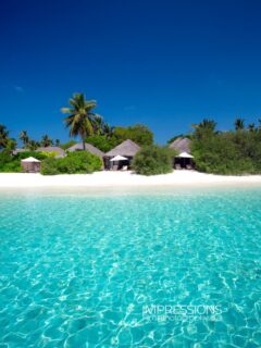 Where turquoise leads to your beach Villa 🏝️
📷 @impressionsphotobysakis #luxuryhotel #luxurytravel #luxurylifestyle #beachlife #maldives