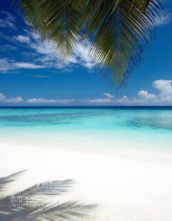 All I want, peace of mind and the blue 😎
📷 @impressionsphotobysakis #luxurytravel #luxurylifestyle #slowlife #beachlife #islandlife