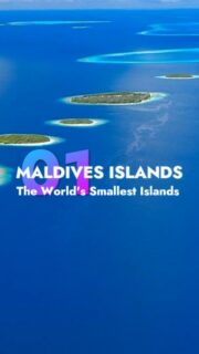 🏝️ Maldives Amazing Facts #1 – Did you know that the Maldives is home to some of the smallest islands on Earth ?
Most Maldivian islands are tiny, the average island is only about 1 km long, and some are so small you can walk across them in just a few minutes.  #maldives #travelwithme #DidYouKnow #Amazing #amazingnature