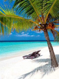 Just here …
📷 @impressionsphotobysakis  #luxurytravel #luxurylifestyle #beachlife #islandlife #wanderlust