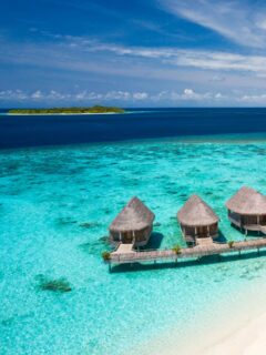 A journey for the Senses.
The spa at Milaidhoo Island.
📷 @impressionsphotobysakis  #luxurytravel #luxurylifestyle #luxuryhotel #luxuryresort #hotelphotography