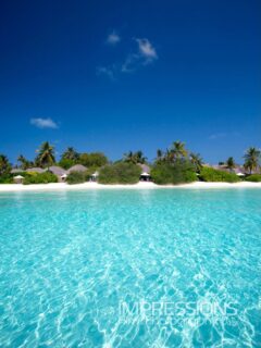 Soft sand, slow mornings and soul soothing blues.
📷 @impressionsphotobysakis #luxurytravel #luxuryhotel #luxurylifestyle #beachlife #maldives