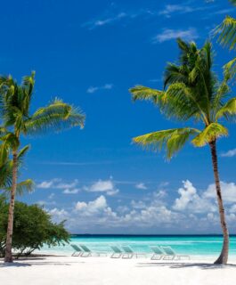 Blue as far as far the eyes can see…
📷 @impressionsphotobysakis  #luxurytravel #luxuryhotel #beachlife #ᴄʜɪʟʟᴠɪʙᴇs #maldives