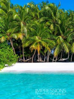 Escape reality for a while…
📷 @impressionsphotobysakis  #luxurytravel #luxuryhotel #beachlife #maldives #slowliving