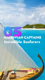 This is why some Maldivian captains can navigate without GPS 🧭
🗺️ Guided by the stars, the reefs, and the color of the water, they read the ocean like a map. Let me tell you their story.
#Maldives #travelwithme #luxurytravel #Amazing #factsyoudidntknow