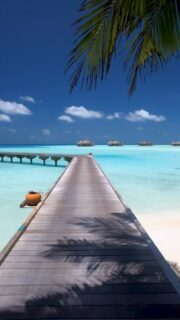 No noice. No stress, Just the blue.
🎥 @impressionsphotobysakis  #luxurytravel #luxuryhotel #luxurylifestyle #beachlife #travelgoals