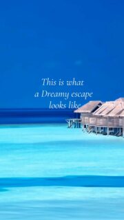 Top 10 Best Maldives Resorts 2026 | 15th Edition.
Dreaming of Maldives invites travelers from around the world to shape the Top 10 Best Maldives Resorts 2026.
It’s not a ranking. It’s your celebration of the Maldives resorts that have inspired dreams, memories and unforgettable journeys for 15 years.
What’s yours ? #travelinspiration #luxuryresortsMaldives #TravelGoals #DreamingOfMaldives #luxurytravel