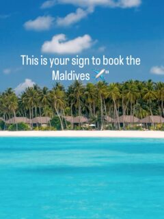 We get asked all the time “is it really like the pictures and videos ? ” It’s better !!
Swipe through for the views that had us speechless.
The Maldives isn’t a bucket list item, it’s a feeling. And it’s closer than you think.
📷 & 🎥 @impressionsphotobysakis #luxurytravel #luxuryhotel #travelgoals #travelinspiration #beachvibes