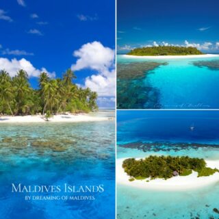 They say all Maldives islands look the same. It's wrong. 🌴 We’ve roamed the Maldives for years, searching for those dreamy little islands that make you stop, stare, and fall in love with paradise all over again.
And trust us, no two islands are alike ! Across 26 natural atolls, around 1200 islands come in extraordinary shapes and sizes.
Some are tiny dots of white sand, barely emerging from turquoise lagoons.
Others are long, lush tropical hideaways, wrapped in coconut palms and endless beaches.
Some are perfectly round.
Others curve like crescents, stretch like ribbons, or seem to float alone in the middle of the Indian Ocean. We've explored so many of them. And yet, the Maldives still manages to surprise us.
A thousand islands. A thousand ways to dream.
Paradise still exists. Go further. Explore the Maldives.
📷 - @impressionsphotobysakis #travelinspiration #maldivesislands #dreamingofmaldives #wanderlust #wanderer #islandlife