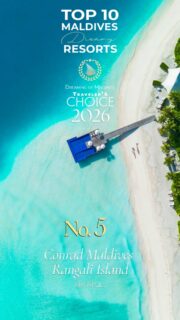 You voted. You chose. 🏆 Conrad Maldives Rangali Island is your No.5 in the TOP 10 Best Maldives Resorts 2026. Two islands. Extraordinary experiences above and beneath the ocean. Located in South Ari Atoll, within the South Ari Marine Protected Area (SAMPA), the Maldives’ extraordinary whale shark sanctuary, Conrad Maldives Rangali Island combines spectacular beach and overwater villas, exceptional gastronomy and endless island experiences. From Ithaa, the world’s first all-glass underwater restaurant, to THE MURAKA, its extraordinary underwater residence, Conrad Maldives continues to redefine the Maldives Dream. Why is Conrad Maldives Rangali Island a Dream? • Two extraordinary tropical islands
• Spectacular beach & overwater villas
• Underwater wonders: Ithaa & THE MURAKA
• Exceptional marine encounters
• A world of leisure & gastronomy 🏝️ Voted by travelers and Maldives lovers worldwide as part of the 15th edition of the Top 10 Maldives Dreamy Resorts. What’s yours? ✈️ Dreaming of Conrad Maldives? Ask me for your Dreamy Offer.
@conrad_maldives #wanderlust #maldives #luxurylifestyle #beachlife #wonderful_places