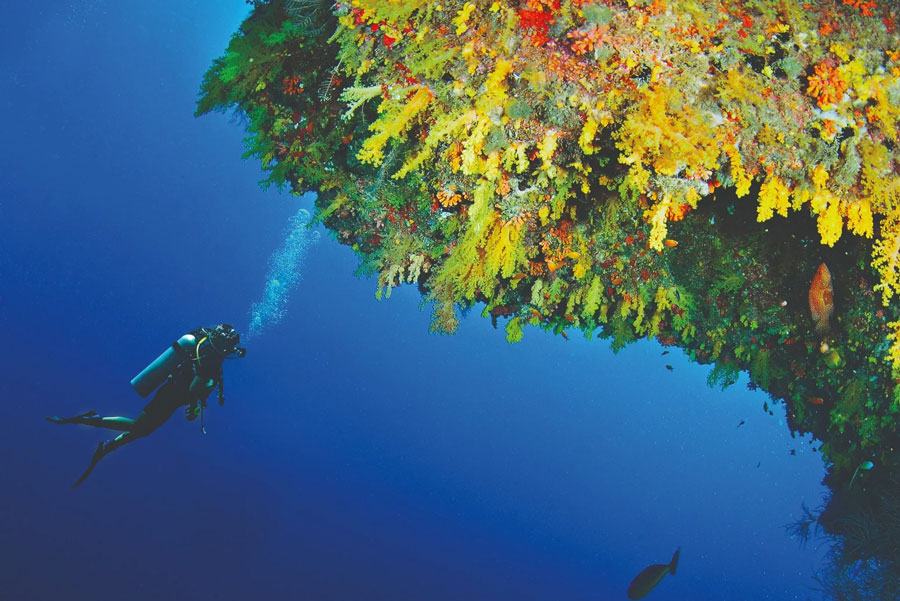 Plongée sur le Golden Wall Anantara Kihavah