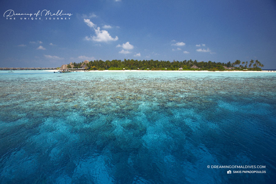 snorkeling récifs Anantara Kihavah maldives