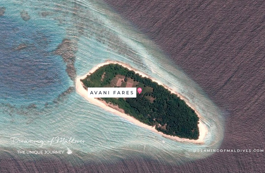 nouvel hotel maldives 2021 avani fares